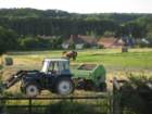 balingupthehay_small.jpg