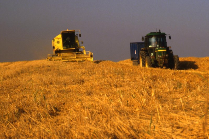 harvestingisstarted.jpg