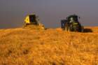 harvestingisstarted_small.jpg