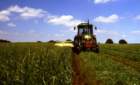 mowingforsilage_small.jpg