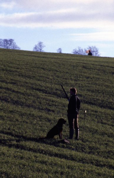 onemanandhisdog.jpg