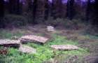 theharvestofthecopse_small.jpg