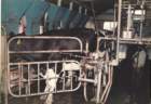themilkingparlouratmanorfarm_small.jpg
