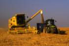 unloadingthecorn_small.jpg