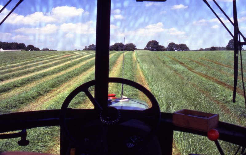 viewfromthetractorcabatsilagemaking.jpg