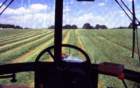 viewfromthetractorcabatsilagemaking_small.jpg